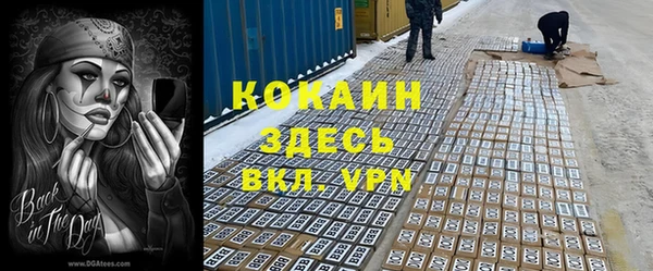 стафф Алексин