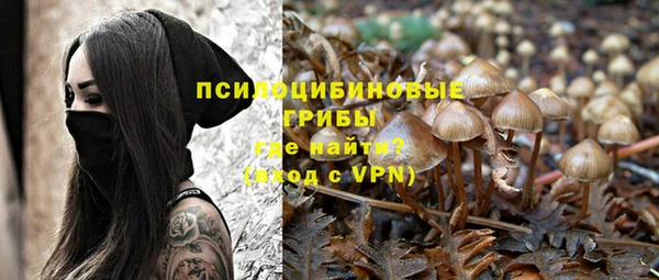 ALPHA PVP Алексеевка