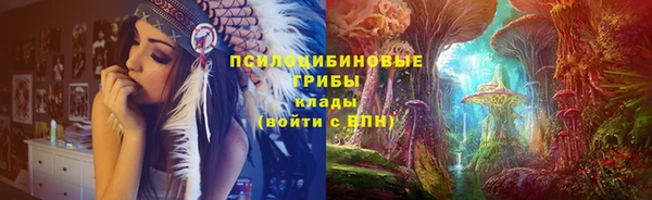 дживик Алзамай