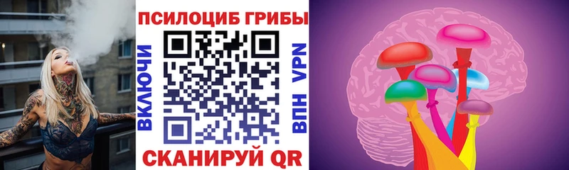 Псилоцибиновые грибы мицелий  гидра маркетплейс  Красноуральск 